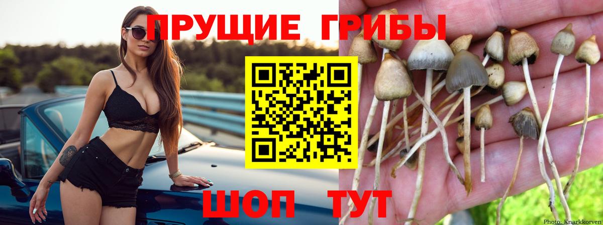 Галлюциногенные грибы ЛСД Ханты-Мансийск