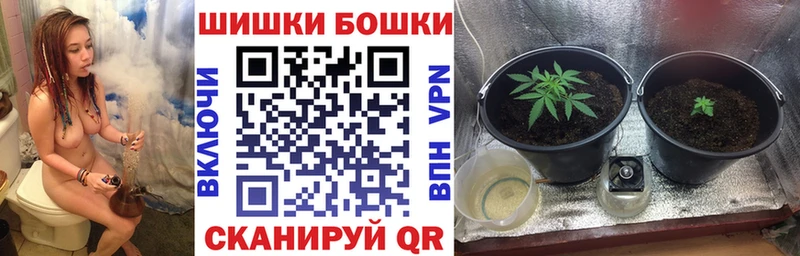 купить наркотики сайты  mega tor  Шишки марихуана планчик  Ханты-Мансийск 